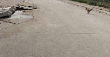 Bán đất đấu giá tổ 3, thị trấn Quang Minh, Mê Linh. Ba bước tới đường Quang Minh, UBND.