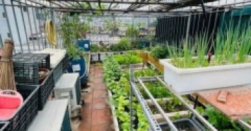 Cần Tiền Bán Gấp! Nhà Khương Đình - Thanh Xuân, DT35m2, 6Tầng, Nhà Đẹp, Giá Thương Lượng