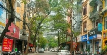 BÁN NHÀ MẶT PHỐ CẦU GIẤY, DT 60M2, MT 4.5M, VỈA HÈ RỘNG, KINH DOANH ĐỈNH, HƠN 22 TỶ