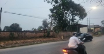 Chính chủ bán 1154m2  đất đầu tư, đường Lạc Hồng, Thì trấn Lâm Thao, Phú Thọ