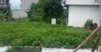 Bán đất Đấu Giá Mai Lâm Đông anh- Hàng xóm Vin Cổ Loa- 75m Oto tránh Vỉa hè nhỉnh 11 tỷ ( TL)