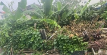 Bán đất Đức Giang Long Biên - Oto - 75m mặt tiền 5m nhỉnh 10 tỷ (TL)