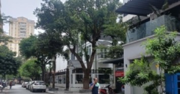 Biệt thự Mễ Trì 131.5m2- 4 tầng, vỉa hè, ôtô tránh, ở VIP, giá 36.6 tỷ