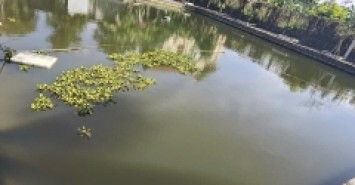 Bán Biệt Thự 3 Tầng 2000 M sân Vườn Đồ Sơn Hải Phòng