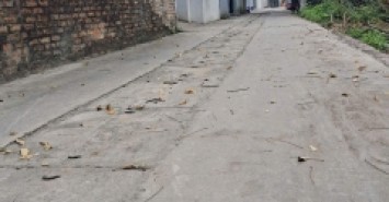 Bán lô đất thôn Ấp Tre, tổ 10, Quang Minh, Mê Linh. Đường thông bàn cờ, mặt tiền rộng 5m