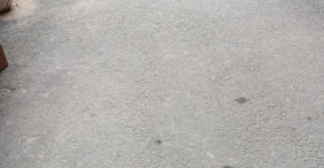 Hàng Hot đường Trường Lâm - Long Biên.