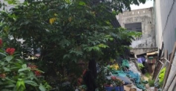 ♣ Đất MT Mỹ An 5, gần Trần Thị Lý, Chương Dương, Sông Hàn, 95.5m2,ngang 5m, giá tốt