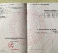 BÁN ĐẤT GẦN QUỐC LỘ 55 - THẮNG HẢI - TÂN THẮNG - SƠN MỸ - BÌNH THUẬN - 1236M2 - GIÁ HỜ 1.2 TỶ - SỔ ĐỎ